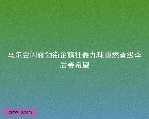 马尔金闪耀领衔企鹅狂轰九球重燃晋级季后赛希望