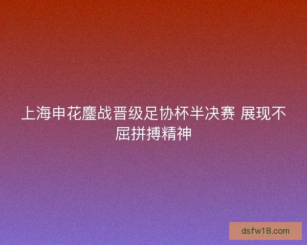 上海申花鏖战晋级足协杯半决赛 展现不屈拼搏精神