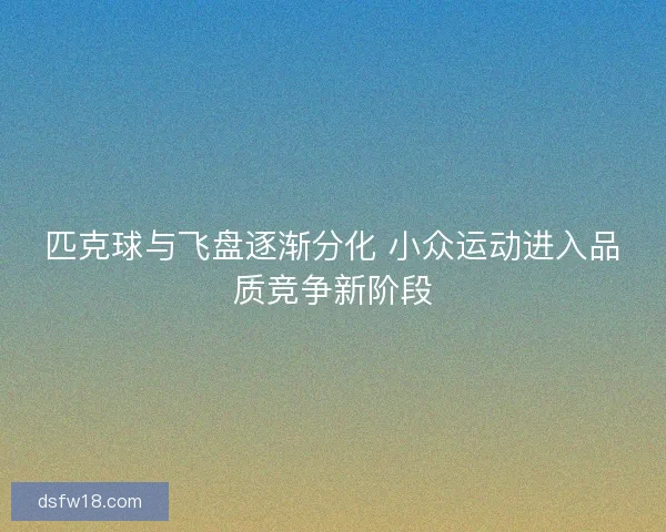 匹克球与飞盘逐渐分化 小众运动进入品质竞争新阶段